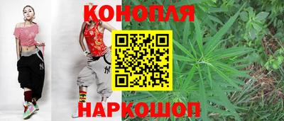 прущие крисы Будённовск