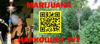 сатива Бузулук