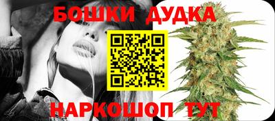 сатива Бузулук