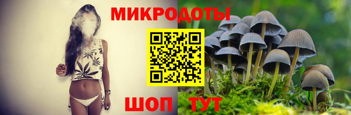 Галлюциногенные грибы прущие грибы  где найти   Малоярославец  Вход с VPN 